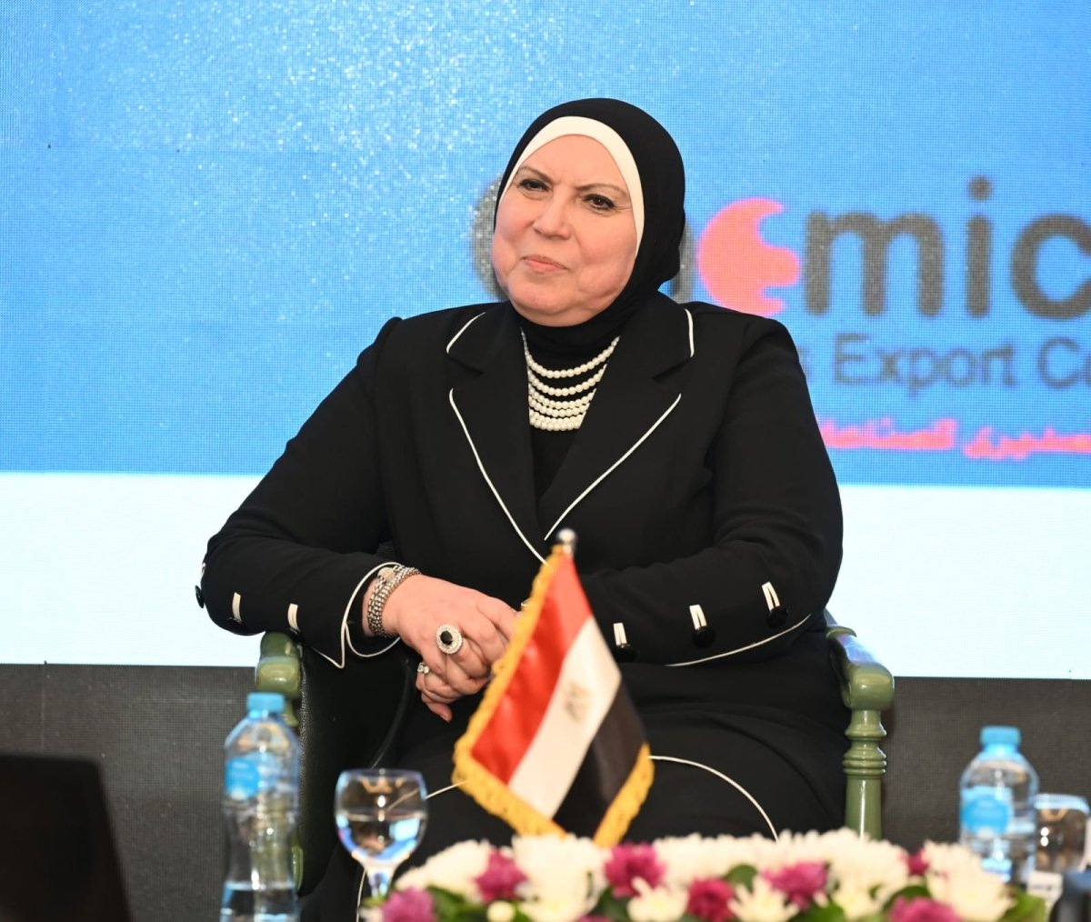 وزيرة الصناعة: منح 3904 رخصة و1737 سجل خلال الربع الأول من 2022