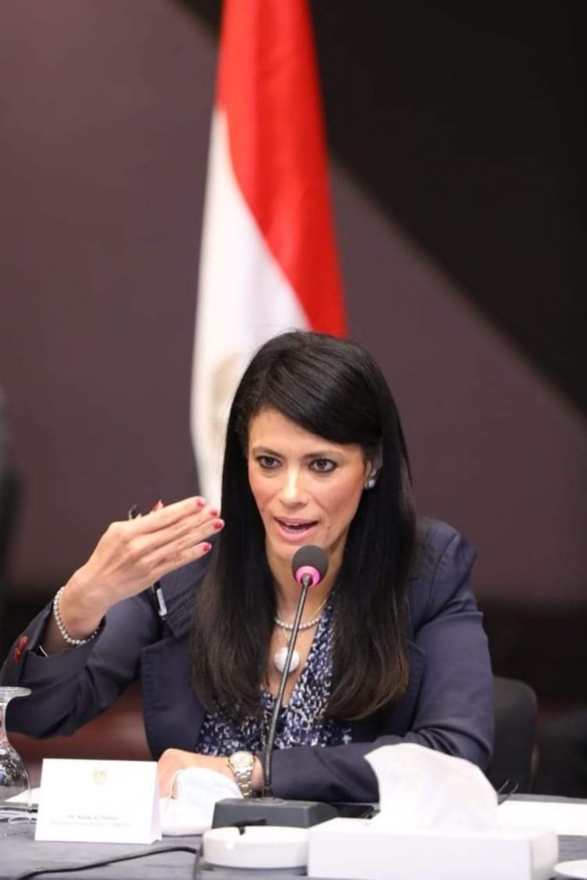 وزيرة التعاون الدولي: توقيع استراتيجيات تعاون مع 3 جهات دولية يونيو المقبل