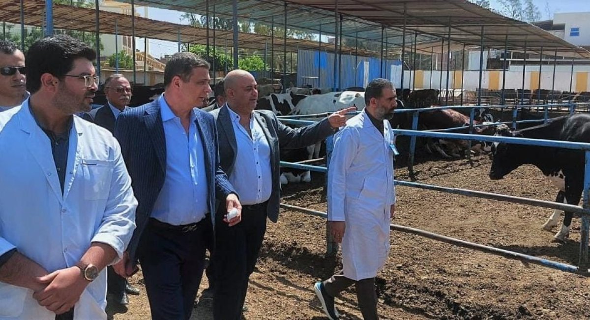 علاء فاروق: التوسع في تمويل مشروعات الإنتاج الحيواني الكبرى لتشجيع المربين على تربية سلالات الأبقار المحسنة وراثياً والتخلي عن السلالات القديمة