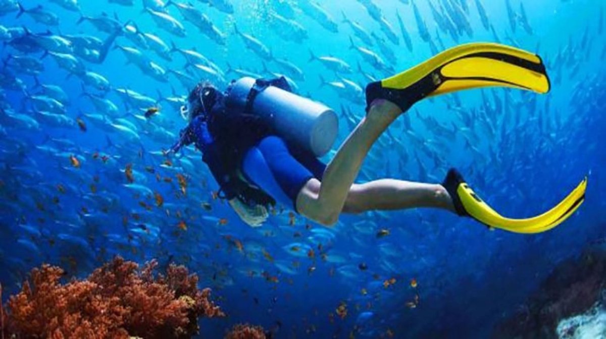 المقصد السياحى المصرى يحصد المركز الثانى فى قائمة أفضل المقاصد لممارسة رياضة الغوص