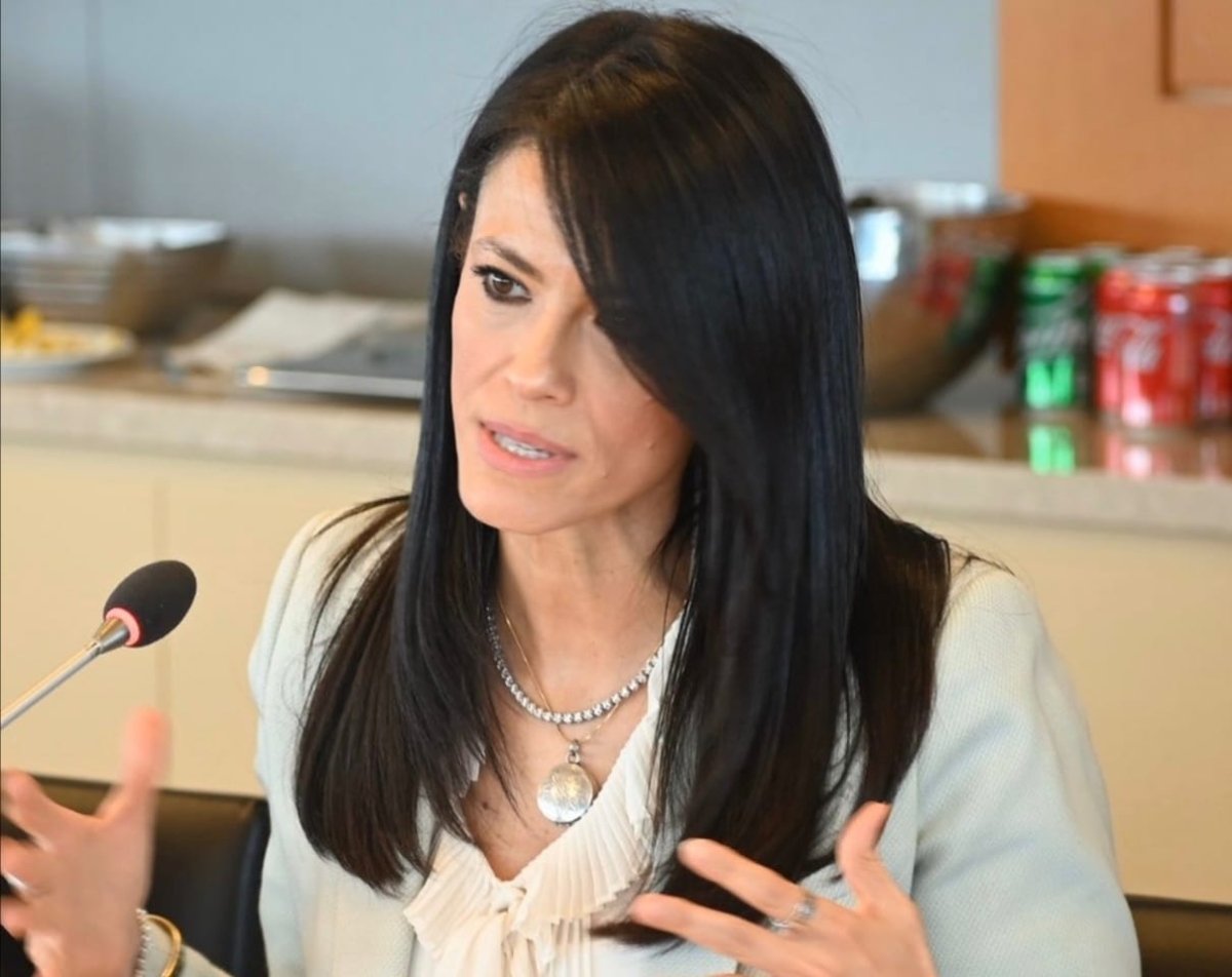 المشاط تجتمع مع مسئولى شركتى جوجل وميتا لبحث التعاون المشترك