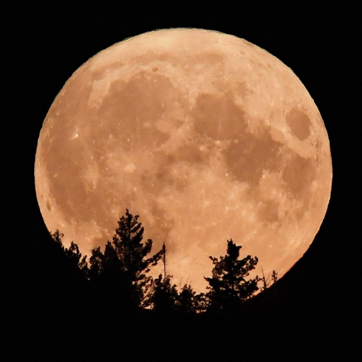 الخميس القادم.. العالم في انتظار القمر العملاق "سمك الحفش"