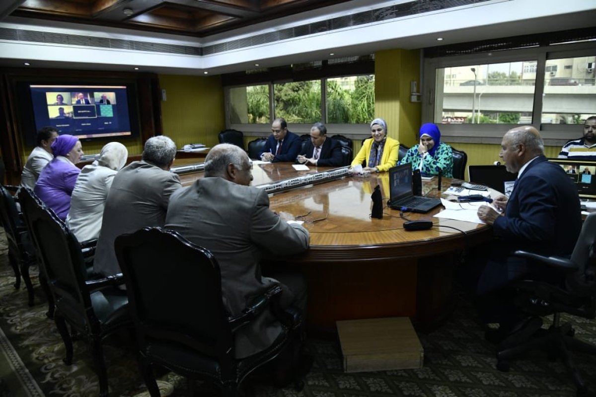 عبر تقنية الفيديو.. وزير النقل يعلن رغبة مصر في الانضمام للمنتدى النقل الدوليITF