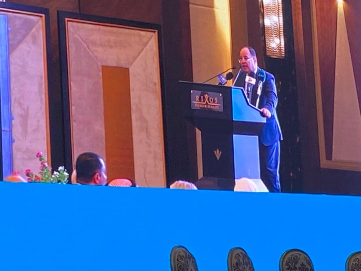 وزير المالية: تجربتنا رائدة فى إصلاح «التأمينات الاجتماعية» لتحسين أوضاع أصحاب المعاشات