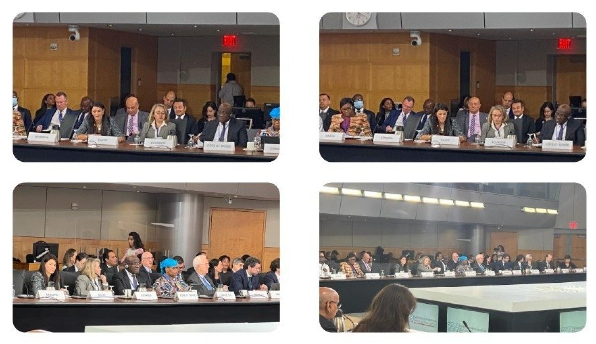 كلمة وزيرة التعاون الدولي أمام مجموعة الـ24 الدولية المعنية بالشئون النقدية والتنمية