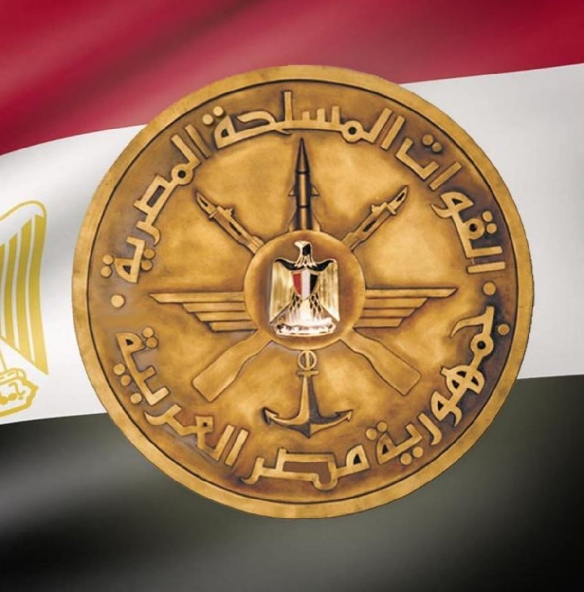 رئيس الأركان  يتفقد مشروع إستصلاح وزراعة الأراضى الصحراوية بتوشكى