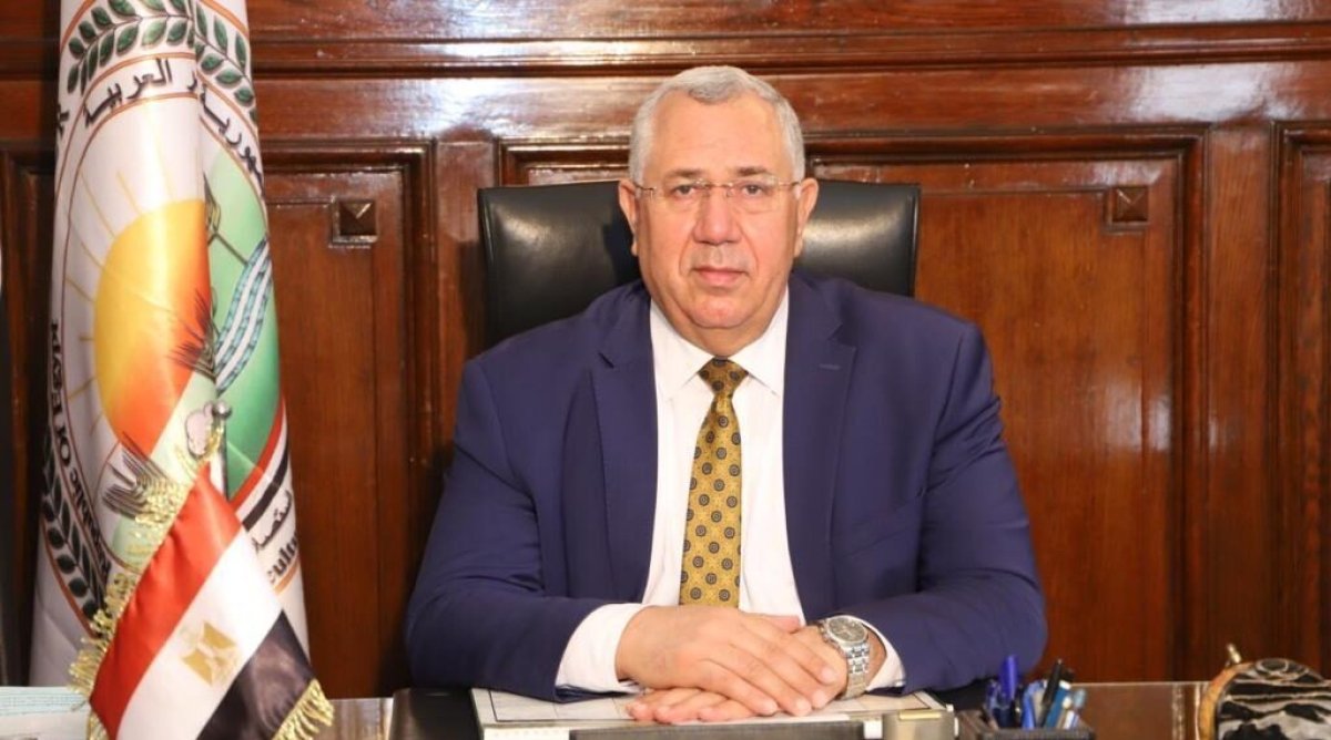 الزراعة: ضبط أكثر من 144 طن لحوم وأسماك غير صالحة للاستهلاك خلال شهر اكتوبر