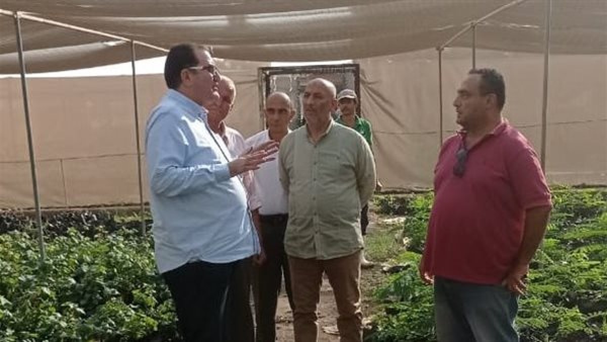 مستشار وزير الزراعة للمتابعة يتفقد مشتل قها بقطاع الانتاج