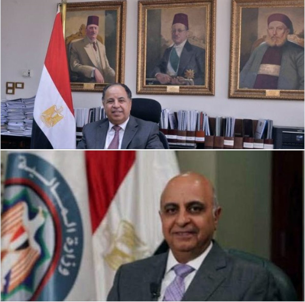 وزير المالية: «الخزانة العامة» تحملت أكثر من 590 مليون جنيه قيمة «الحافز الأخضر»