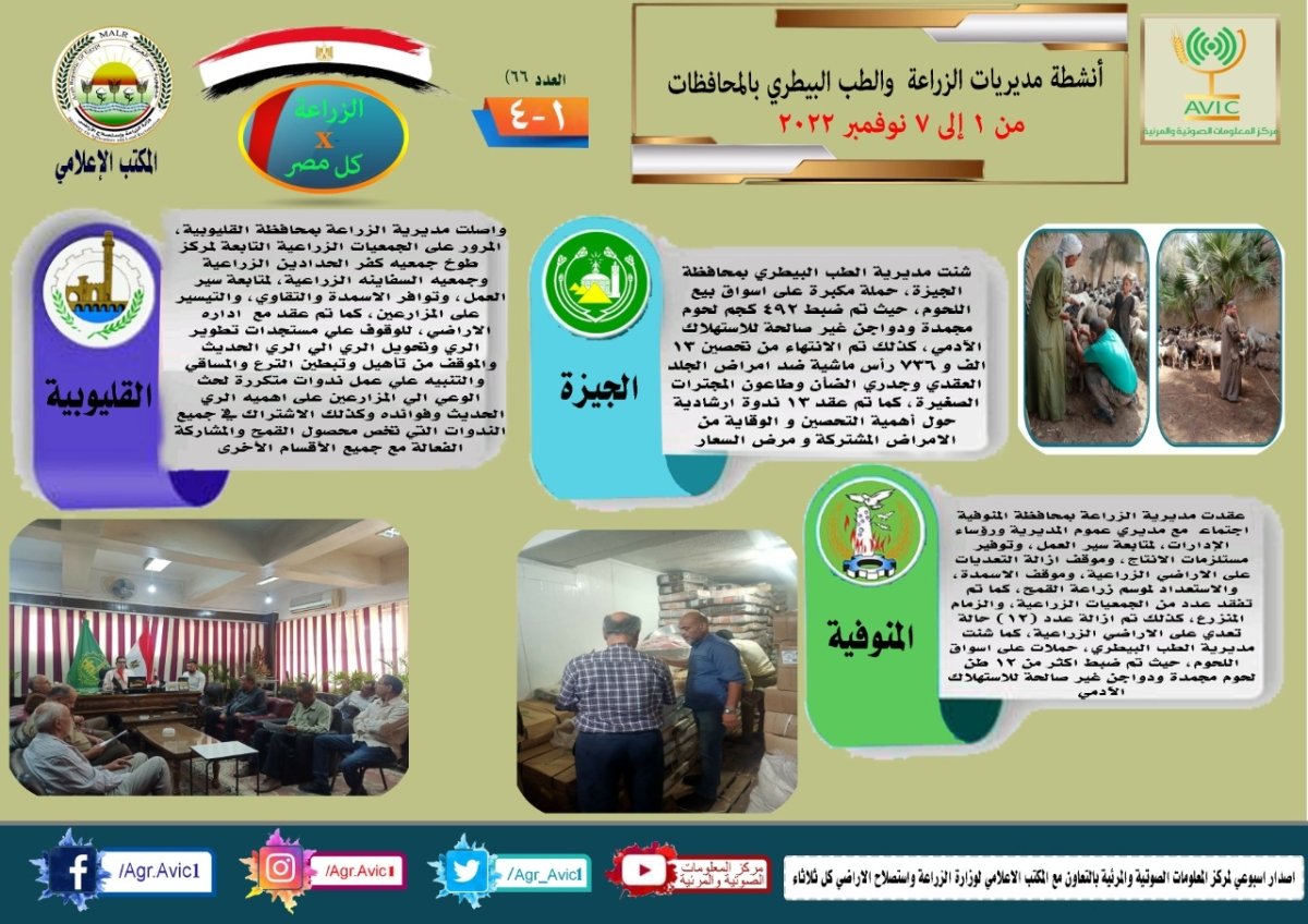  "الزراعة في كل مصر" العدد رقم 66 تعرف على أنشطة وجهود مديريات الزراعة والطب البيطري (انفوجراف)