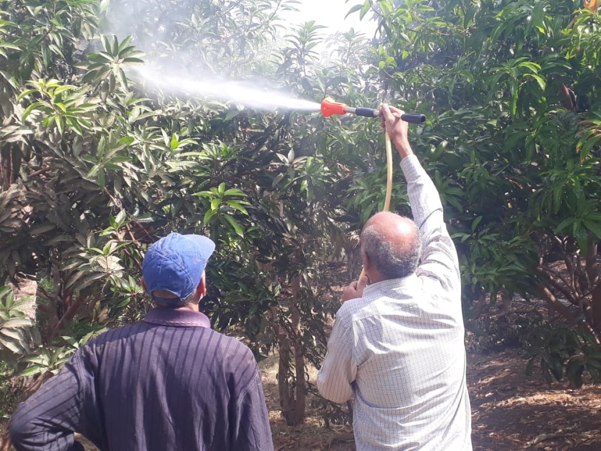 الزراعة تترصد الآفات الزراعية مع بداية الموسم الشتوي