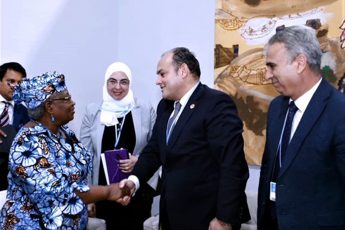 وزير التجارة والصناعة يبحث مع مدير عام منظمة التجارة العالمية تحديات أزمة الأمن الغذائى