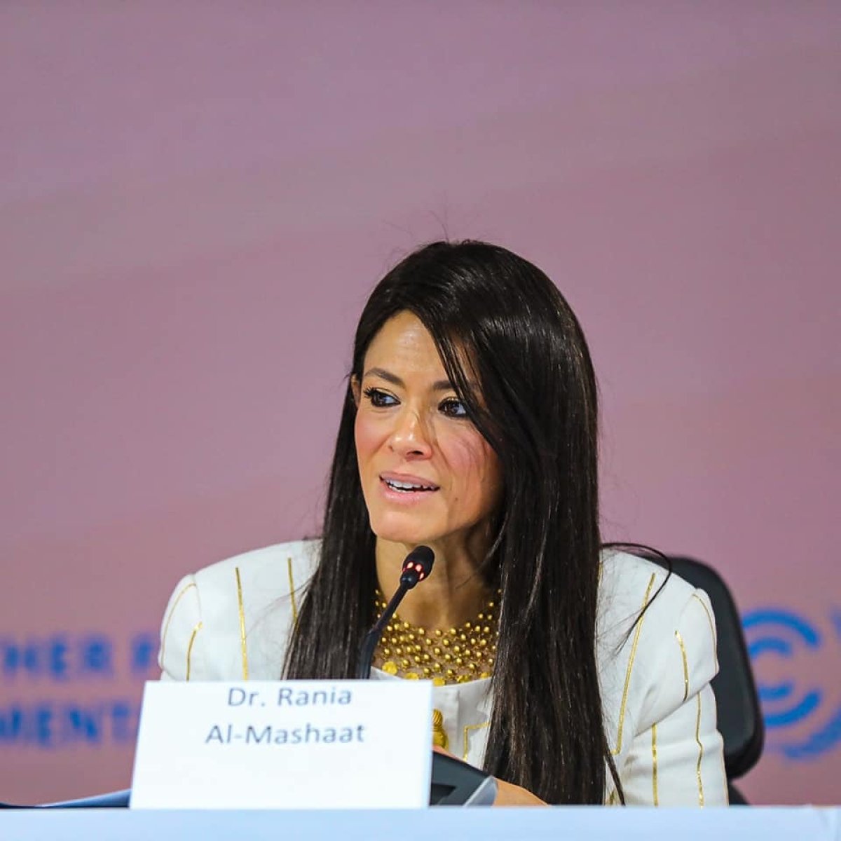 المشاط تشارك في الجلسة النقاشية لصندوق الأوبك للتنمية الدولية