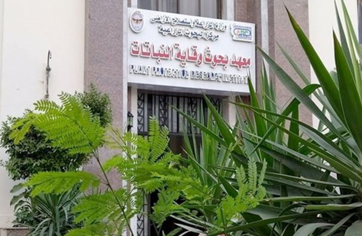 وقاية النباتات يعلن عن برنامج تدريبى عن إدارة العمليات النحلية في ظل التغيرات المناخية