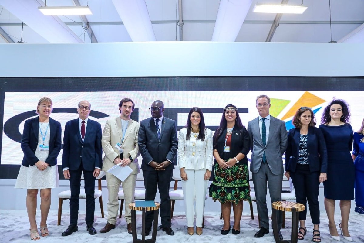 المشاط تُعلن فوز الملف المصري لبرنامج "نُوَفِّي" بالمرتبة الأولى على مستوى شمال أفريقيا وأوروبا