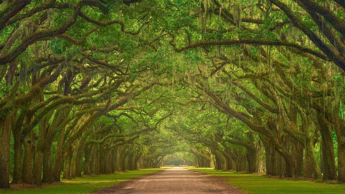 «مغامرات وأشباح»..  تعرف علي أفضل 6  أماكن أمريكية تجذب السائحين في نوفمبر