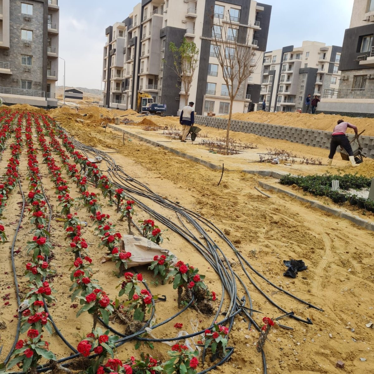 مسئولو جهاز مدينة " الشيخ زايد " يتفقدون سير العمل بمشروع "جنة" بمنطقة الامتداد