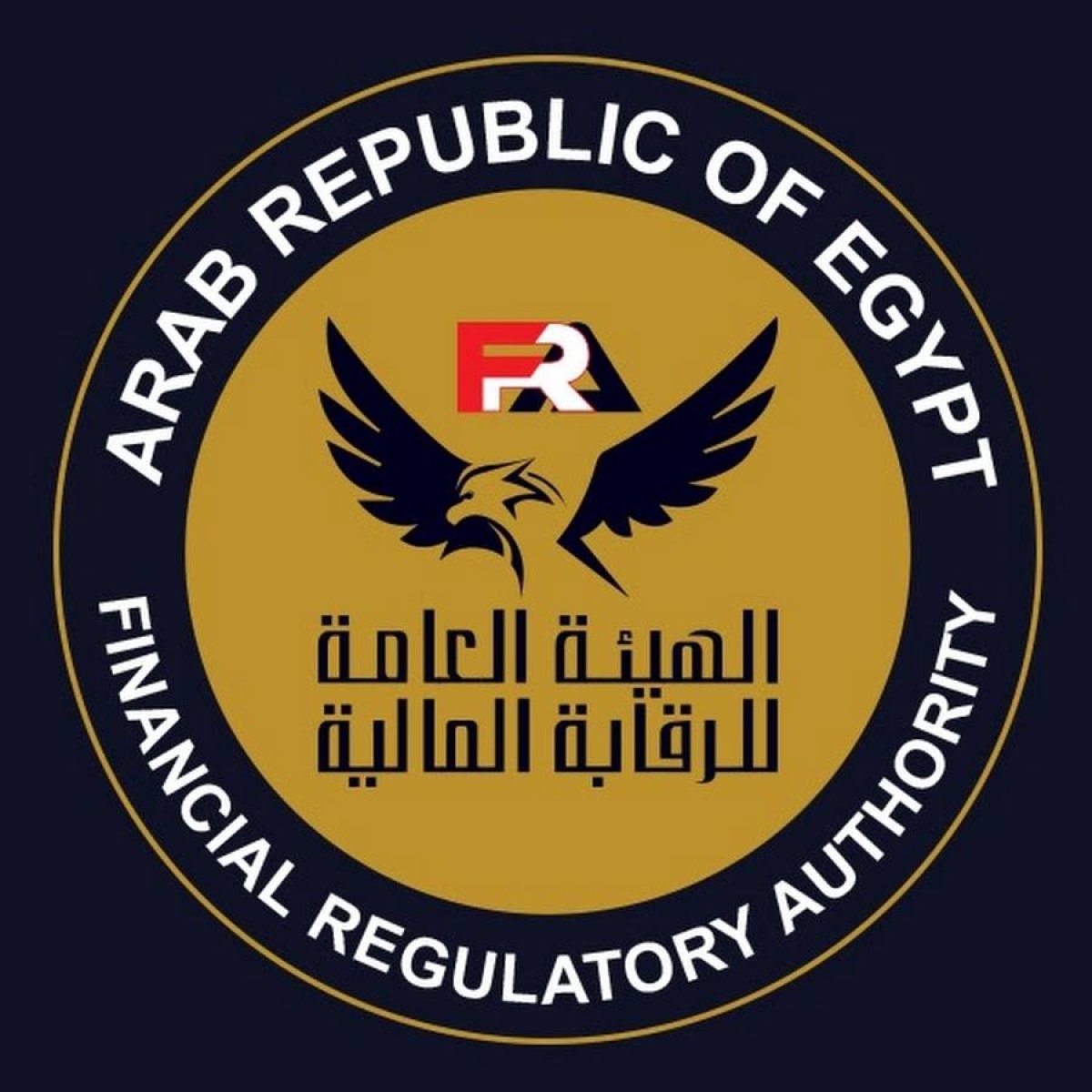 الرقابة المالية تجري تعديلات لتعزيز فعالية ضوابط ممارسة نشاط تمويل المشروعات المتوسطة والصغيرة ومتناهية الصغر 