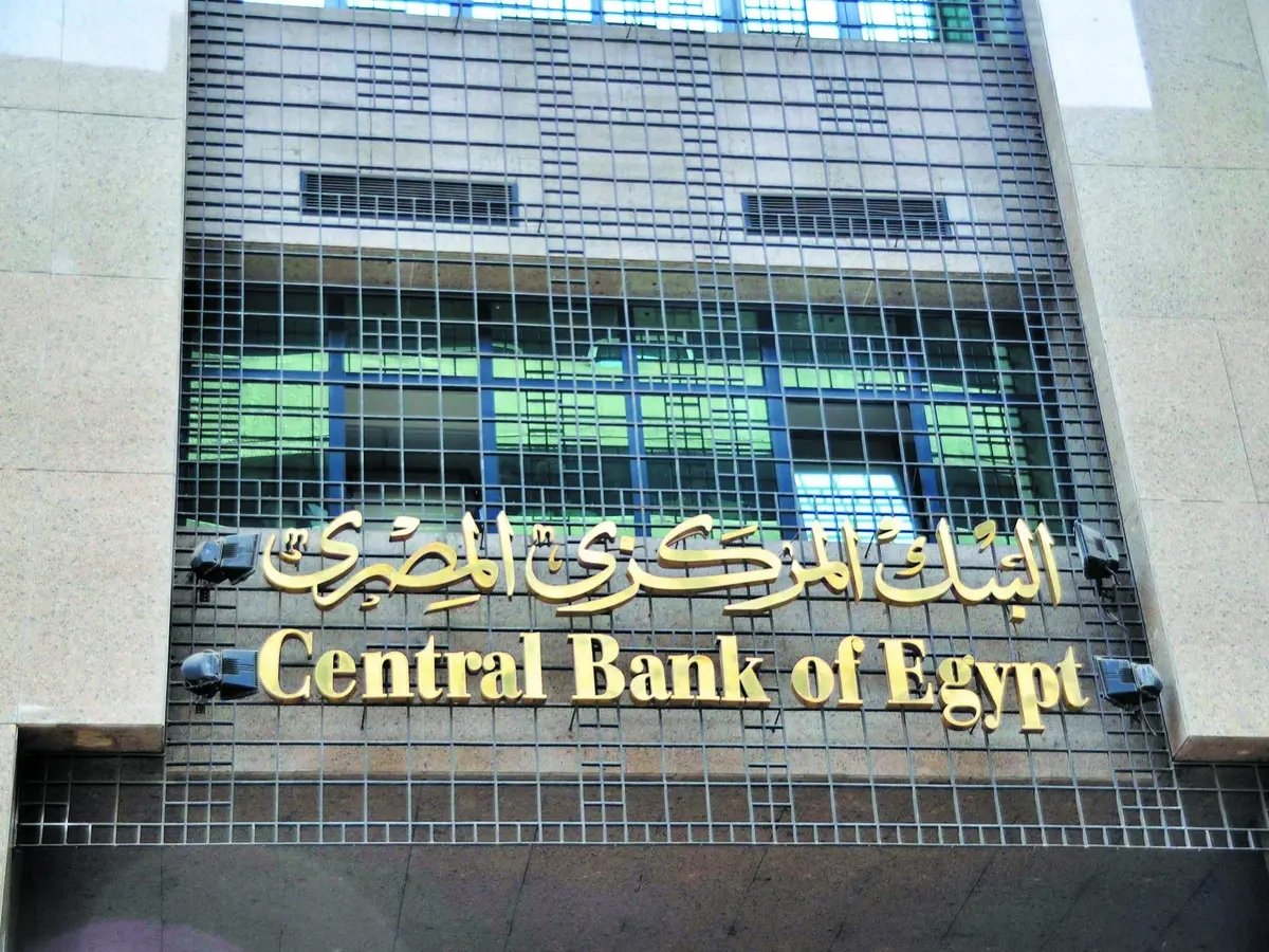 المركزي المصري: ارتفاع المعدل السنوي للتضخم ليبلغ 31.2 % في يناير الماضي