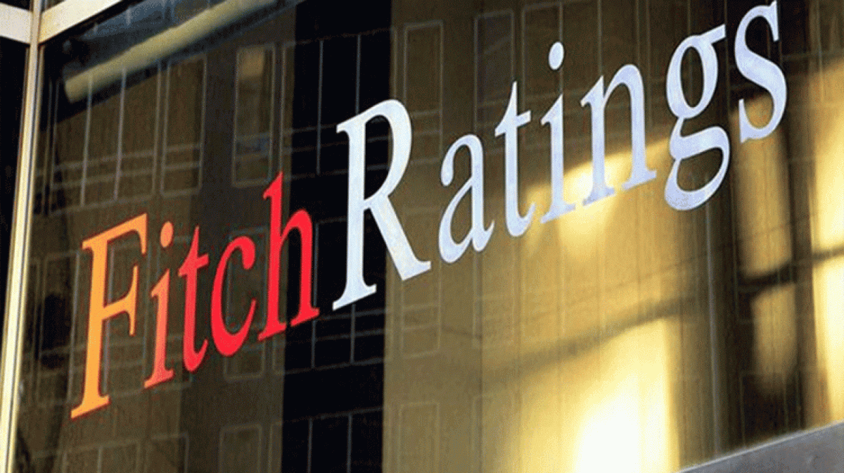 وكالة فيتش: صادرات مصر الزراعية تحقق أرقامًا قياسية