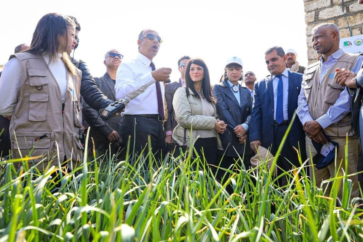 وزارة التعاون الدولي ومكتب الأمم المتحدة يطلقان أسبوع الشراكة استعدادًا لتوقيع الإطار الاستراتيجي الجديد 2023-2027