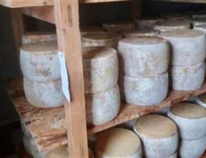 ضبط مدير مخزن بحوزته منتجات ألبان غير صالحة للإستهلاك الآدمى