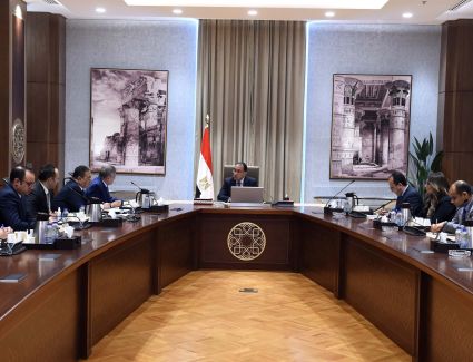 رئيس الوزراء يستعرض ملامح مشروع ضخم للبتروكيماويات في المنطقة الاقتصادية بالتعاون مع القطاع الخاص