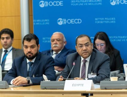 رئيس التنظيم والإدارة يشارك في اجتماعات منظمة التعاون الاقتصادي والتنمية بباريس