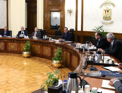 رئيس الوزراء يناقش إجراءات دعم وتحفيز صناعة الدواء