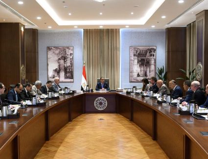 رئيس الوزراء يلتقى عددا من المطورين العقاريين لمناقشة وبحث سبل دعم القطاع العقاري