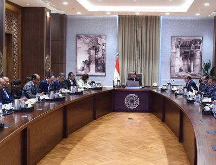 رئيس الوزراء يلتقي عددا من المصريين بالخارج بهدف تأسيس شركة " المصريين في الخارج للاستثمار"