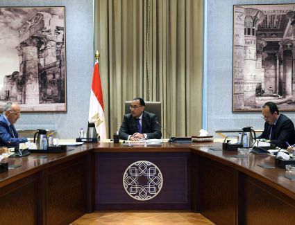 رئيس الوزراء يتابع مع وزير الموارد المائية والري عدداً من الملفات