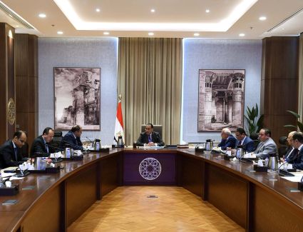 رئيس الوزراء يتابع موقف مشروعات المنطقة الصناعية ببورسعيد 
