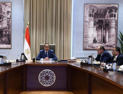 رئيس الوزراء يلتقي الرئيس التنفيذي لشركة "DHL" إكسبريس العالمية