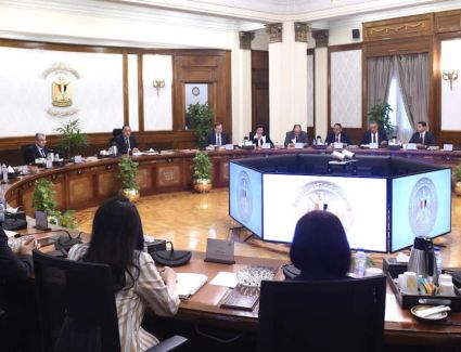 رئيس الوزراء يبحث فرص تعظيم الاستفادة من الثروة التعدينية بمصر في توطين الصناعات التكنولوجية الدقيقة
