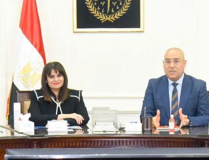 وزيرا الهجرة والإسكان يتلقيان تقريرًا شاملًا عن آخر مستجدات مكافحة الهجرة غير الشرعية ضمن بروتوكول التعاون بين الوزارتين