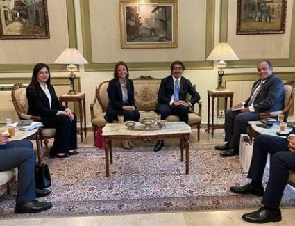 وزير التجارة يبحث مع الشركات التركية فرص الاستثمار في مصر