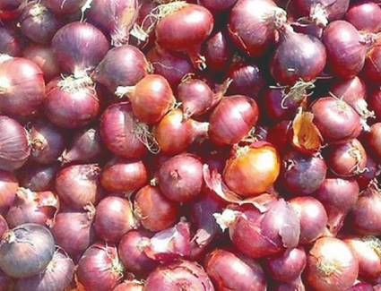 الهند تواجه التضخم برفع ضريبة الصادرات على البصل 