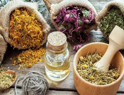 «الوزراء»: مصر الـ4 عالميا.. و168.7 مليون دولار حجم صادراتنا من الأدوية العشبية