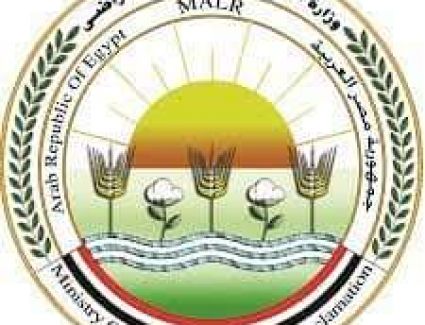 الزراعة: ارتفاع صادرات مصر الزراعية الى أكثر من 4.3 مليون طن والبصل في المركز الثالث 