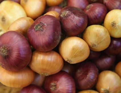 بنسبة 433% .. ارتفاع أسعار البصل خلال شهر