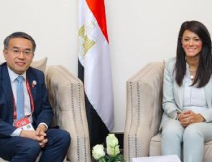  المشاط تبحث مع وزير خزانة هونج كونج أوجه التعاون