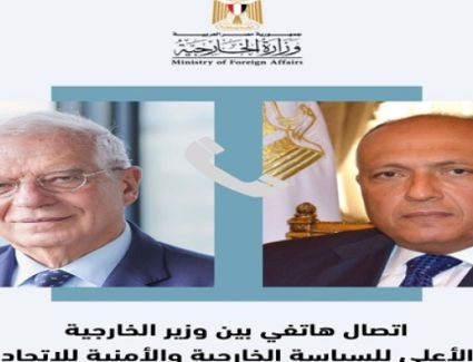 وزير الخارجية يؤكد ضرورة الوقف الفوري للقصف وأية عمليات عسكرية برية في غزة