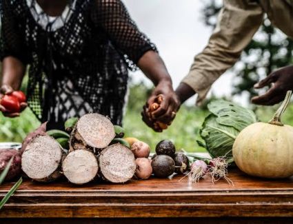 في اليوم العالمي للغذاء.. «الإحصاء»:  1.6 % زيادة في إنتاج الحبوب عام 2021 / 2022