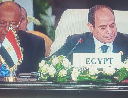 الرئيس السيسي يدعو لتوفير الحماية الدولية للشعب الفلسطيني والمدنيين الأبرياء