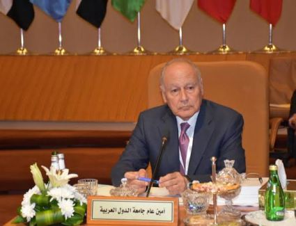 أبو الغيط: عدوان إسرائيل «المسعور» على فلسطين يهدد بحرب إقليمية