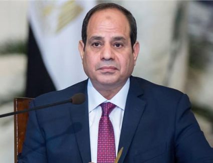 الرئيس السيسي يوقع قانونا باستثناء قيد بعض الشركات من بعض أحكام قانون سجل المستوردين