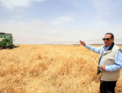  «الريف المصرى الجديد» تطلق مبادرة لتشجيع زراعة المحاصيل الشتوية الإستراتيجية بجميع أراضي ال ١.٥ مليون فدان