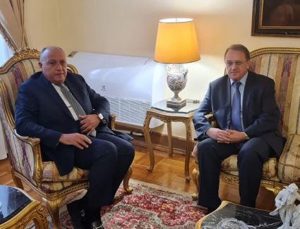 "المنطقة الصناعة الروسية ومحطة الضبعة".. أبرز مباحثات سامح شكري مع نائب وزير خارجية موسكو