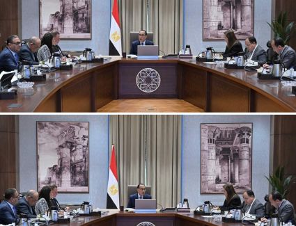 رئيس الوزراء يتابع مستجدات تنفيذ برنامج الطروحات الحكومية